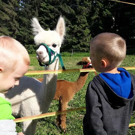 아파트 Aparmanovy Dom Kamzik,apartman 42,donovaly