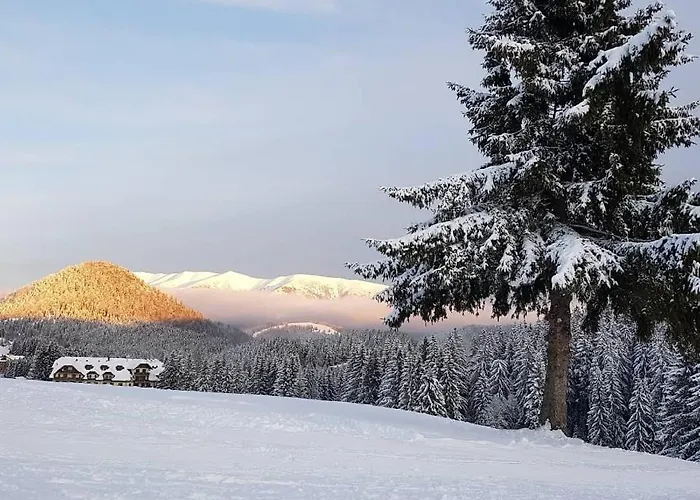 Aparmanovy Dom Kamzik,apartman 42,donovaly *