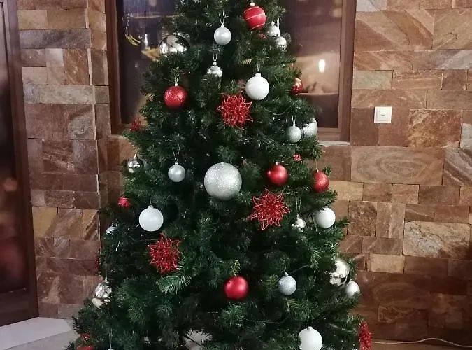 Aparmanovy Dom Kamzik,apartman 42,donovaly Donovaly